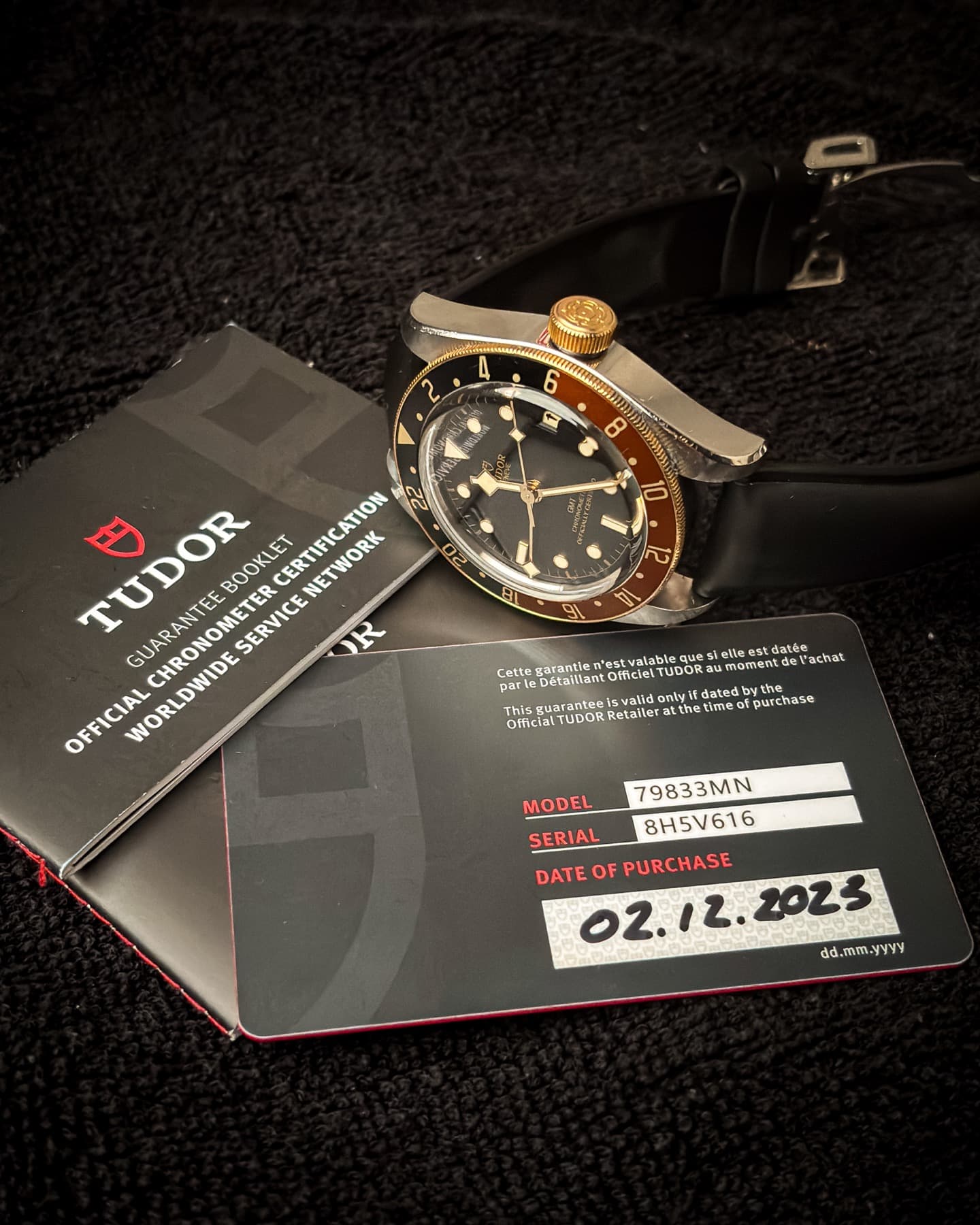 Tudor Black Bay GMT S&G Root Beer detail 6