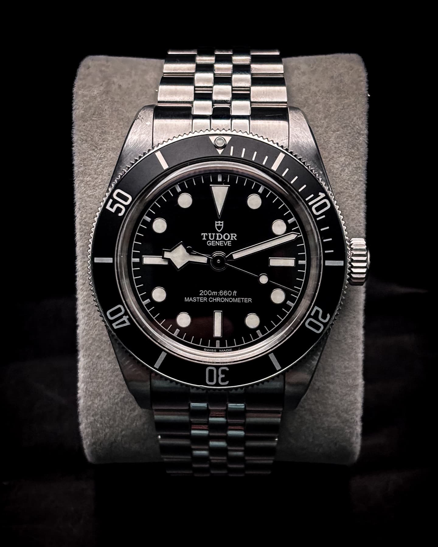 Tudor Black Bay Monochrome