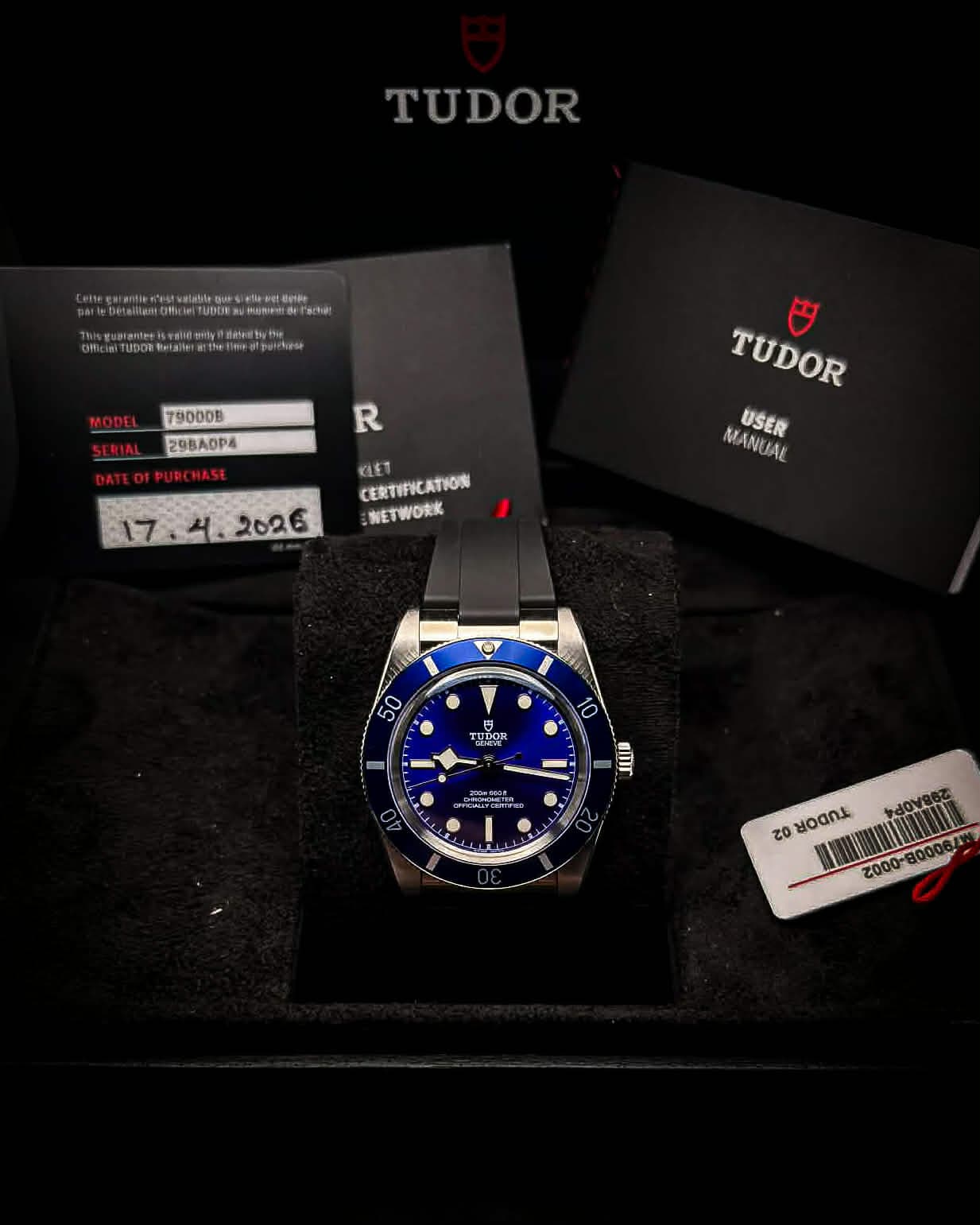 Tudor Black Bay 41 detail 6