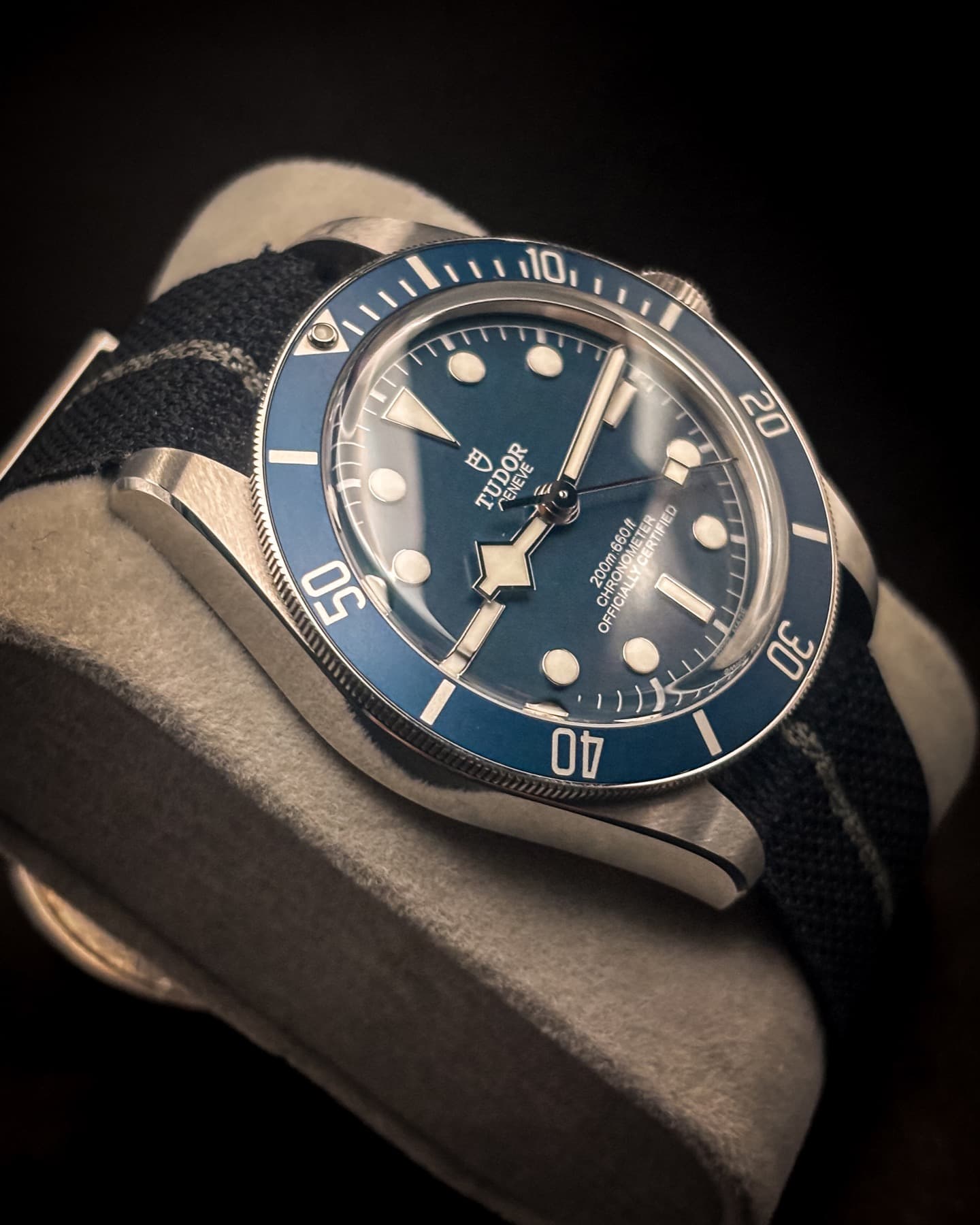 Tudor Black Bay 58 detail 4