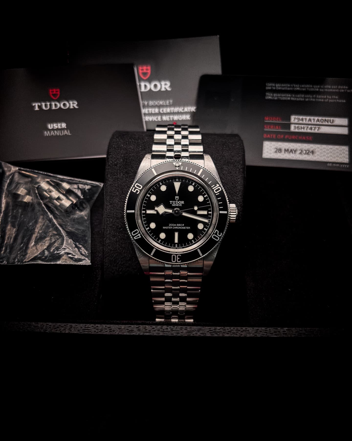 Tudor Black Bay Monochrome detail 6